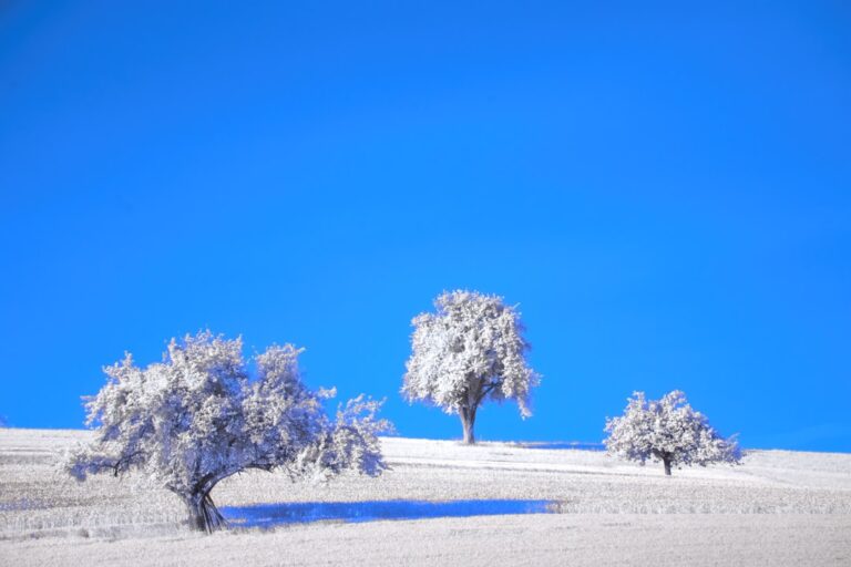☀️ 겨울철 우울증 극복: 햇빛 부족과 활동량 감소에 대처하는 마음 건강 관리법