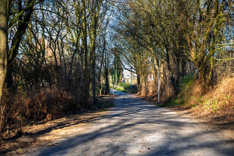 ❄️ 한파 속 건강 지키기: 혈관 건강부터 피부 관리까지
